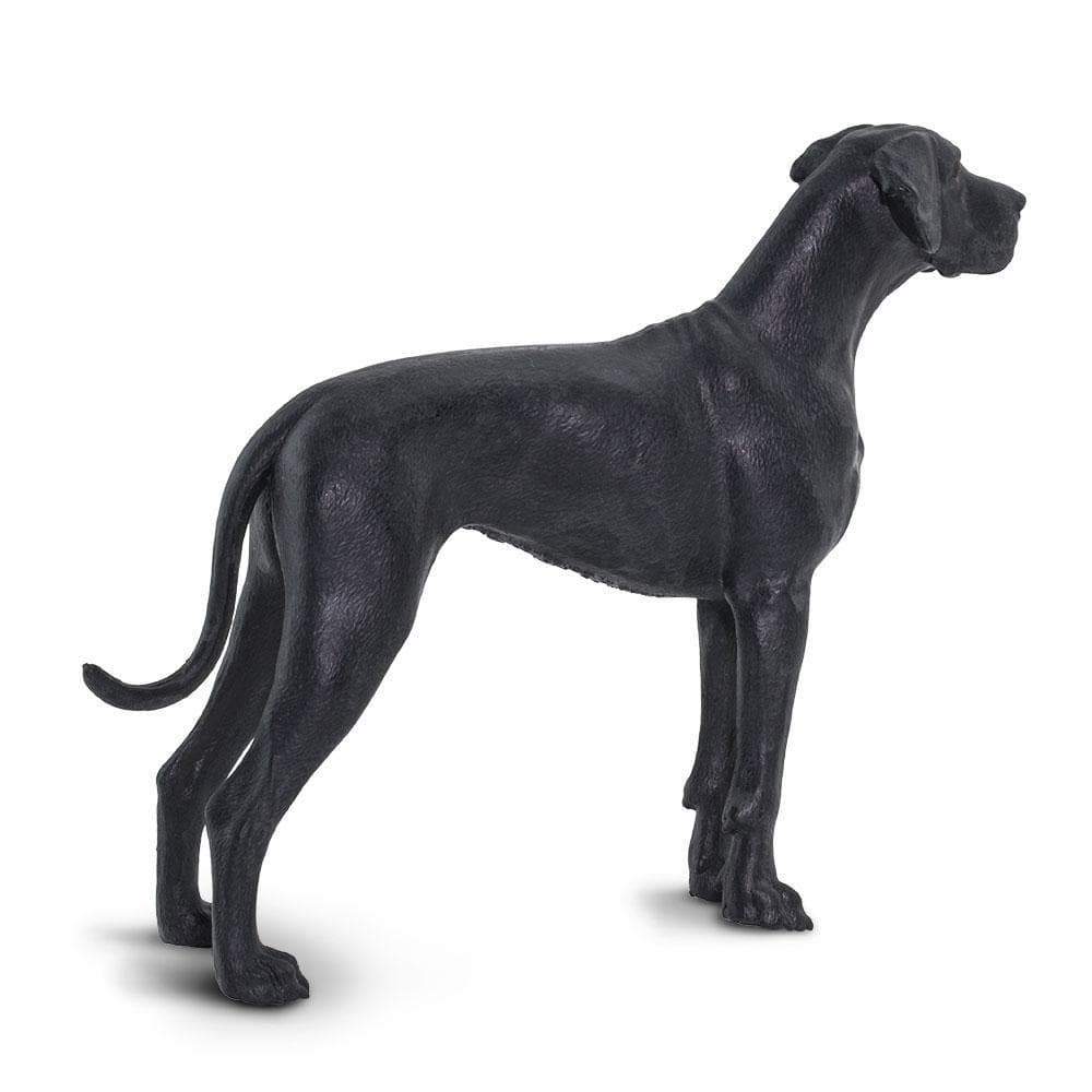 0ef086a309d8ef86b9dc723140079985