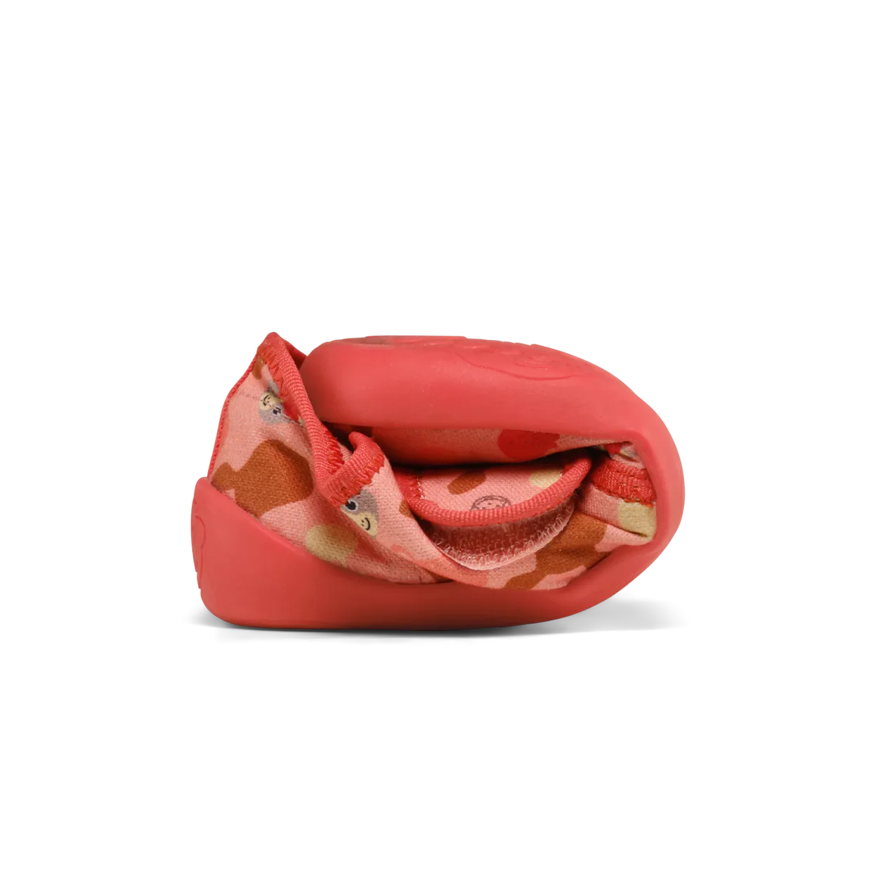 Immagine diapositiva