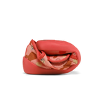 Immagine diapositiva