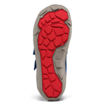 Immagine diapositiva