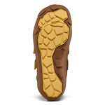 Immagine diapositiva