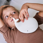 Immagine diapositiva