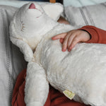 Immagine diapositiva