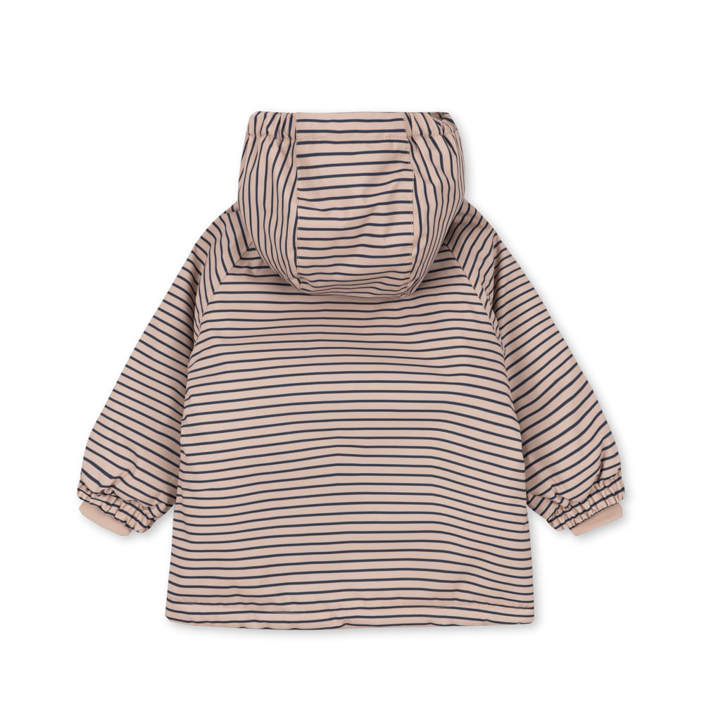 Immagine diapositiva