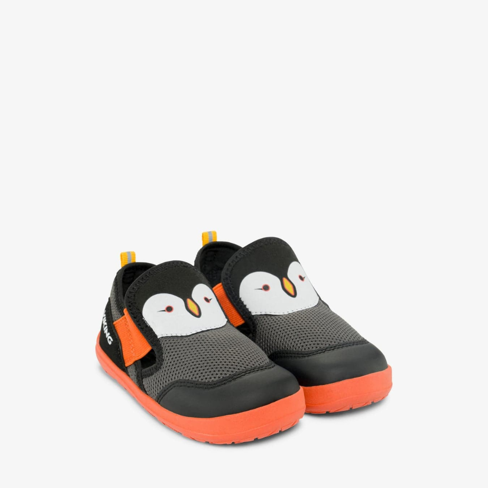 0b2e2169631a5d04df09b212aff66956